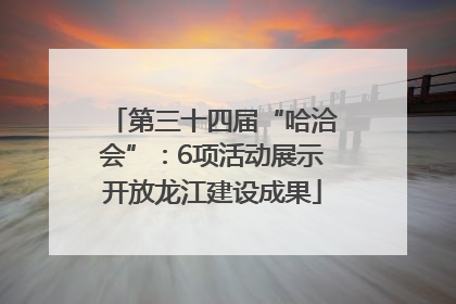 第三十四届“哈洽会”：6项活动展示开放龙江建设成果