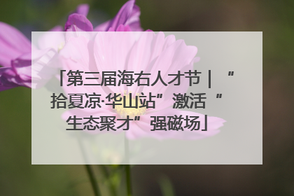 第三届海右人才节｜“拾夏凉·华山站”激活“生态聚才”强磁场