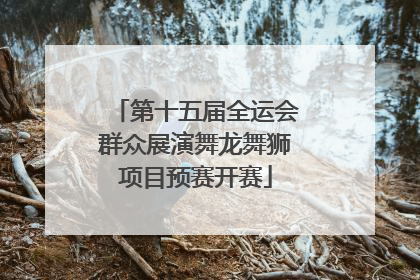 第十五届全运会群众展演舞龙舞狮项目预赛开赛