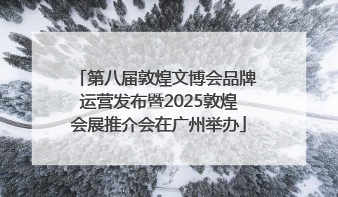 第八届敦煌文博会品牌运营发布暨2025敦煌会展推介会在广州举办