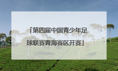 第四届中国青少年足球联赛青海赛区开赛