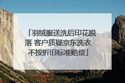 羽绒服送洗后印花脱落 客户质疑京东洗衣不按折旧标准赔偿