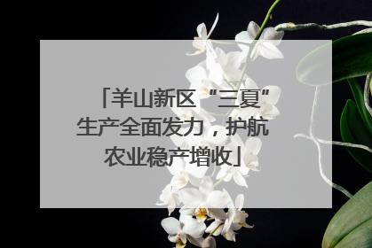 羊山新区“三夏”生产全面发力，护航农业稳产增收