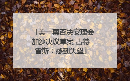 美一票否决安理会加沙决议草案 古特雷斯：感到失望