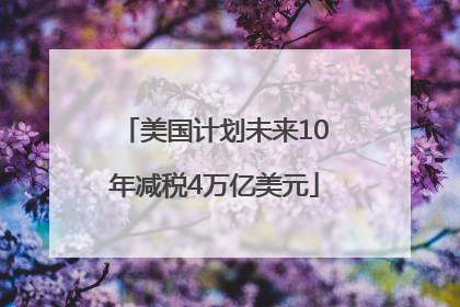 美国计划未来10年减税4万亿美元