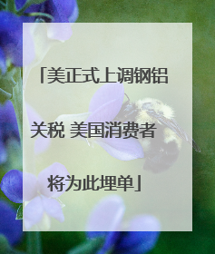 美正式上调钢铝关税 美国消费者将为此埋单