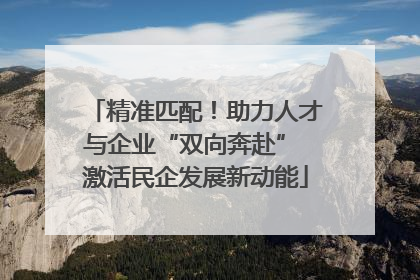 精准匹配！助力人才与企业“双向奔赴” 激活民企发展新动能