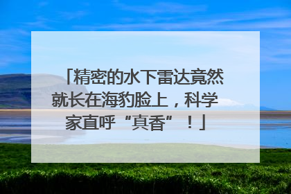 精密的水下雷达竟然就长在海豹脸上，科学家直呼“真香”！