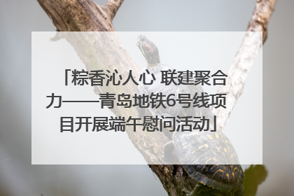 粽香沁人心 联建聚合力——青岛地铁6号线项目开展端午慰问活动