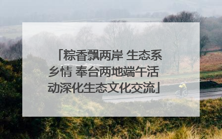 粽香飘两岸 生态系乡情 奉台两地端午活动深化生态文化交流