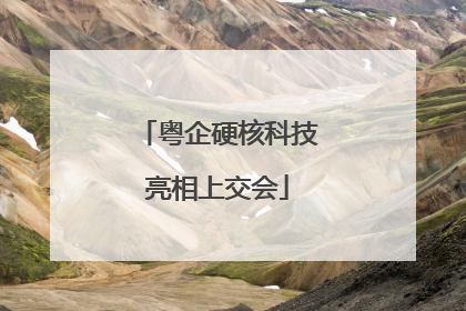 粤企硬核科技亮相上交会