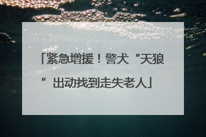 紧急增援！警犬“天狼”出动找到走失老人
