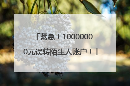 紧急！10000000元误转陌生人账户！