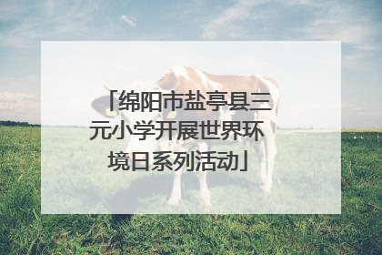 绵阳市盐亭县三元小学开展世界环境日系列活动