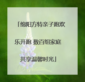 绵阳方特亲子跑欢乐开跑 数百组家庭共享温馨时光