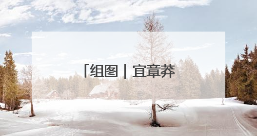 组图｜宜章莽山：各类珍稀动物频“出镜”