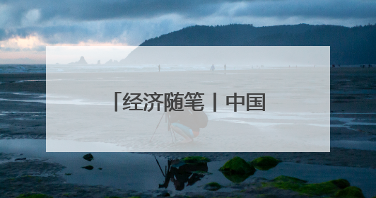 经济随笔丨中国经济靠什么“顶住了压力”？