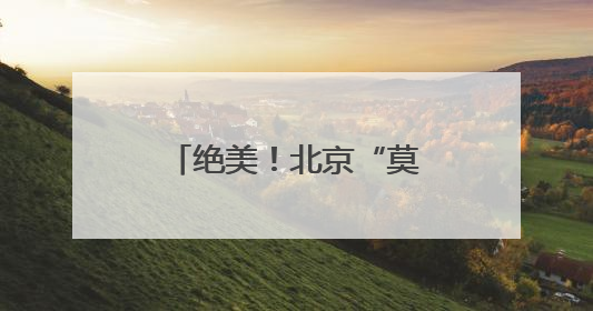 绝美！北京“莫奈睡莲”上线