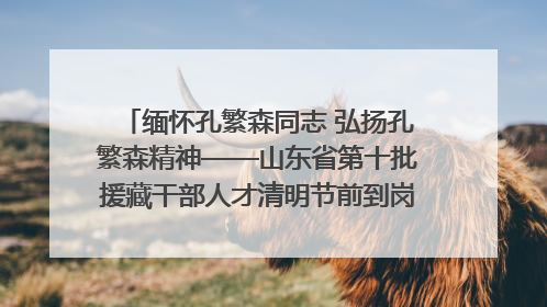 缅怀孔繁森同志 弘扬孔繁森精神——山东省第十批援藏干部人才清明节前到岗巴县开展党性教育