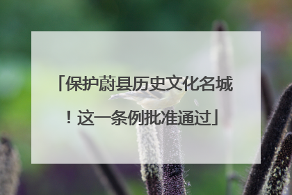 保护蔚县历史文化名城！这一条例批准通过