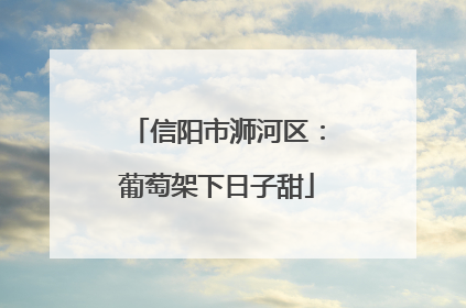 信阳市浉河区：葡萄架下日子甜