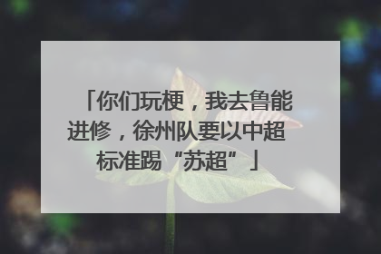 你们玩梗，我去鲁能进修，徐州队要以中超标准踢“苏超”