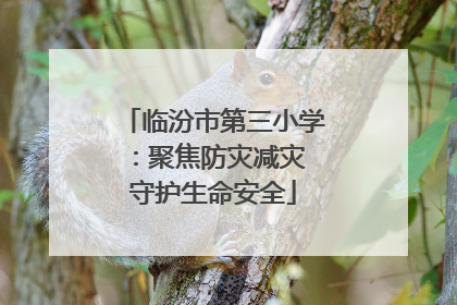 临汾市第三小学：聚焦防灾减灾 守护生命安全