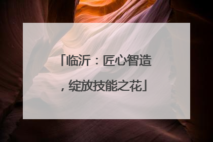 临沂：匠心智造，绽放技能之花
