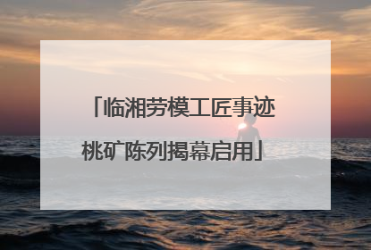 临湘劳模工匠事迹桃矿陈列揭幕启用