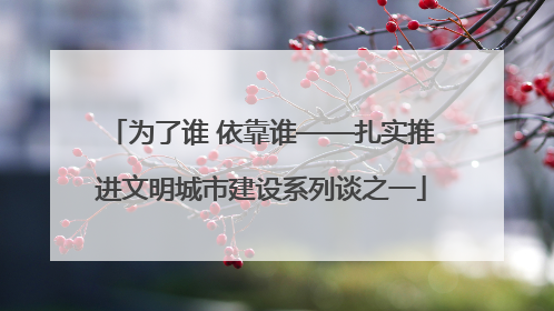 为了谁 依靠谁——扎实推进文明城市建设系列谈之一