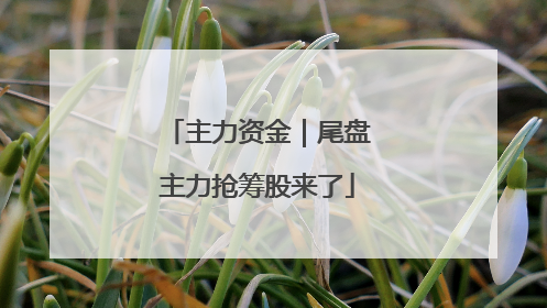 主力资金｜尾盘主力抢筹股来了