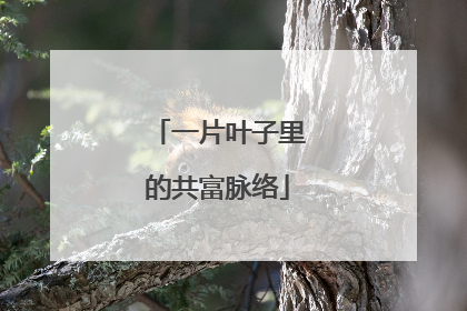 一片叶子里的共富脉络