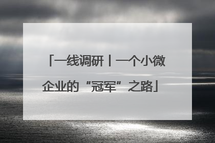 一线调研丨一个小微企业的“冠军”之路