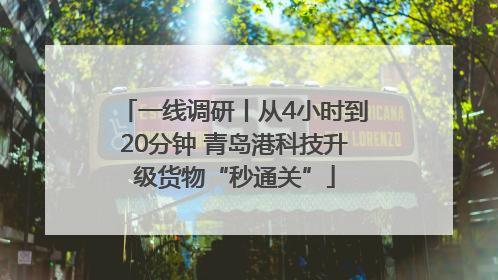 一线调研丨从4小时到20分钟 青岛港科技升级货物“秒通关”