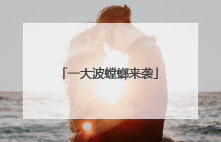 一大波螳螂来袭