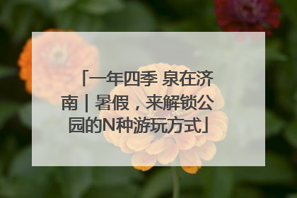 一年四季 泉在济南｜暑假，来解锁公园的N种游玩方式