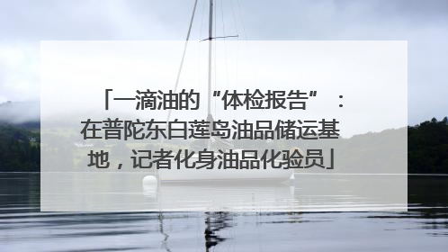 一滴油的“体检报告”：在普陀东白莲岛油品储运基地，记者化身油品化验员
