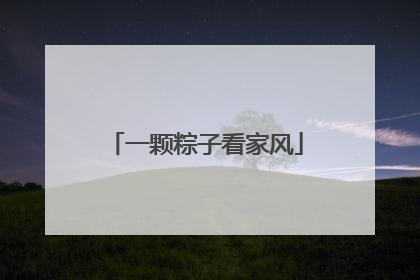 一颗粽子看家风