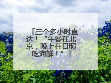 三个多小时直达！“午餐在北京，晚上在日照吃海鲜！”