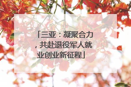 三亚：凝聚合力，共赴退役军人就业创业新征程