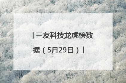 三友科技龙虎榜数据（5月29日）