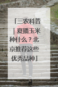 三农科普｜夏播玉米种什么？北京推荐这些优秀品种