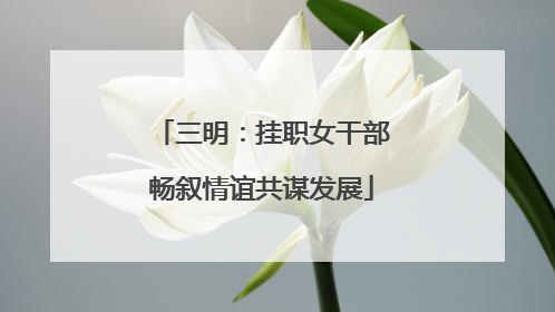 三明：挂职女干部畅叙情谊共谋发展