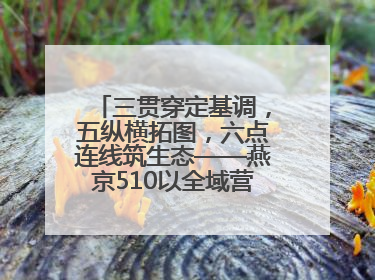 三贯穿定基调，五纵横拓图，六点连线筑生态——燕京510以全域营销战略登顶行业IP新高度