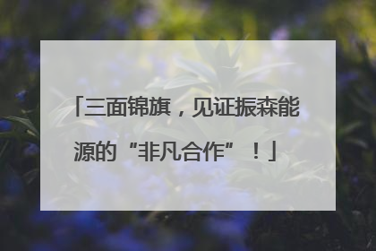 三面锦旗，见证振森能源的“非凡合作”！