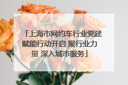 上海市网约车行业党建赋能行动开启 聚行业力量 深入城市服务