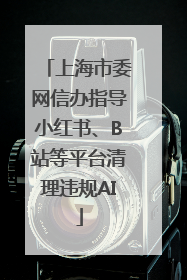 上海市委网信办指导小红书、B站等平台清理违规AI