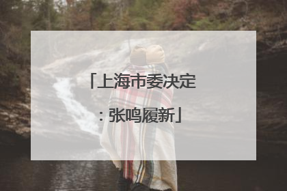 上海市委决定：张鸣履新