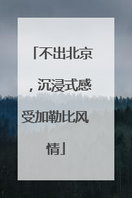 不出北京，沉浸式感受加勒比风情