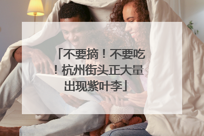不要摘！不要吃！杭州街头正大量出现紫叶李